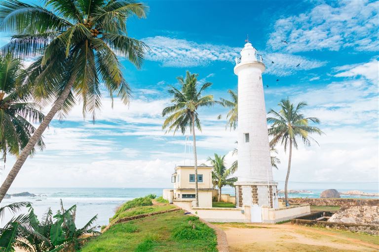 Natürlich Sri Lanka! ©danilovi/istock
